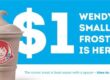 Scoop Dip or Sip Wendy's Treats Fans to $1 Frosty Deal for a Sweet End to Summer
